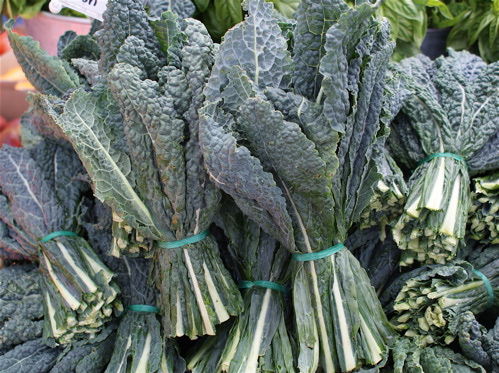 The Wonderful World of Kale - Invictus Fitness