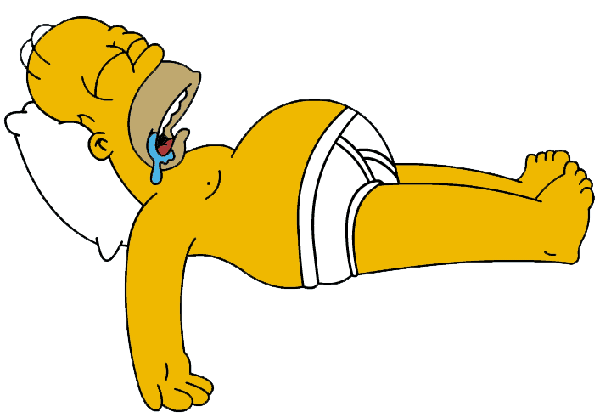 HomerBlogImageNicholeSleep