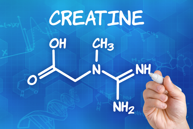 Everything you need to know about creatine - invictus fitness