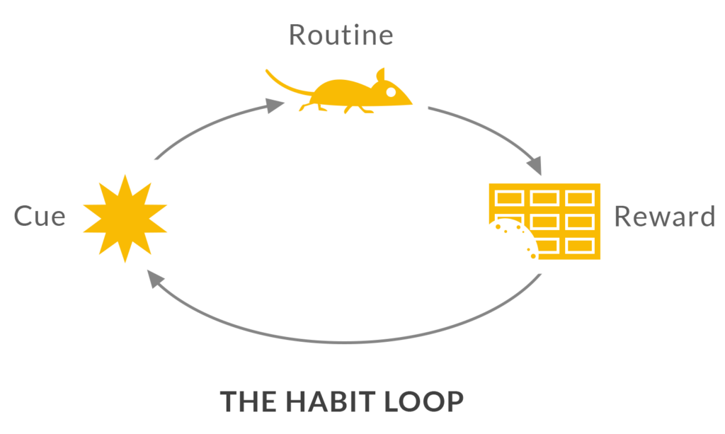 habit-loop