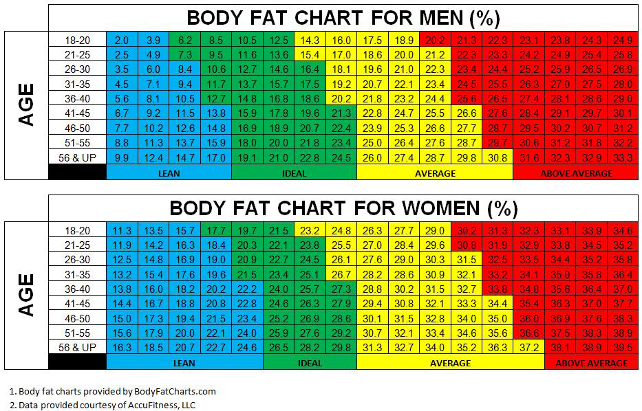 What's the Best Way to Measure Body Composition? - Invictus Fitness
